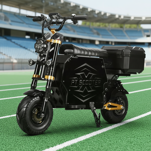 Scooter Eléctrico Todoterreno GT-M6 con Doble Motor y Sensor de Aluminio, 12000W, 72V, 50Ah, Batería Extraíble, Alcance de 150 km - Product Image 1