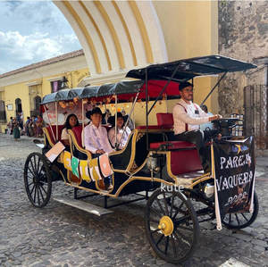 Voiture électrique de luxe royale européenne populaire pour le tourisme, chariot à chevaux de type calèche, véhicule de transport extérieur, à vendre - Product Image 2