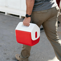 Glacière isotherme en plastique pour pique-nique et camping, 14L, type Igloo, vente en gros usine