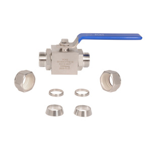 Robinet à bille manuel en acier inoxydable 6-25 mm NPT pour milieux corrosifs - Product Image 5