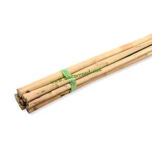 Hot Sale Natural Bamboo Cane Sticks For Plant Support