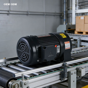 Motor de Engranajes de CA Trifásico Duradero |   Engranaje Helicoidal Horizontal para Bomba de Agua y Maquinaria de Empaque - Product Image 1