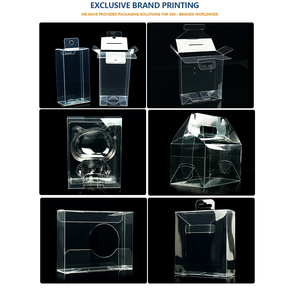 Maßgefertigte Recycelbare <span class=keywords><strong>PET</strong></span> Transparente Box PVC-Boxen Verpackungsbox Durchsichtig für Künstliche Köder-Verpackung - Product Image 4