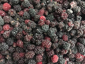 OEM/ODM Chất lượng cao đông lạnh <span class=keywords><strong>Blackberry</strong></span> cho bán hàng nóng với số lượng lớn cho bán buôn và bán lẻ - Product Image 3