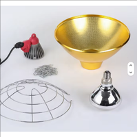 Ampoule chauffante infrarouge E27 110-240V 175W 275W pour élevage, lampe de chauffage à isolation thermique pour ferme d'élevage (vente en gros)