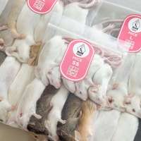 Souris entières lyophilisées pour reptiles/serpents, nourriture pour animaux de compagnie, haute teneur en protéines, alimentation naturelle à base de proies entières, complément carnivore
