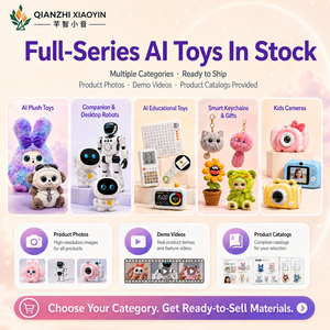 Peluche Lapin IA Prête à l'Expédition avec Capteur Tactile, Plus de 50 Langues, Contes, Chansons, Compagnon Émotionnel, WiFi, Cadeau, Vente en Gros - Product Image 6