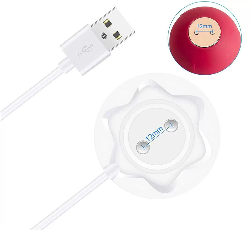 Happy Meeting Rose Toys USB-Zubehr Magnetische Ladestation fr Back Rose  Vibrator Ersatz-Ladegert