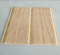 Panel de Techo de PVC Impermeable e Ignífugo con Franja Dorada o Plateada, Suministro de Fábrica China