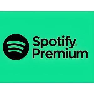 แผนการรายปีของ QIDUO บัตรเติมเงินส่วนบุคคล บัตร <span class=keywords><strong>Spotify</strong></span> Premium แบบครอบครัว มีสินค้า<span class=keywords><strong>พ</strong></span>ร้อมส่ง - Product Image 2