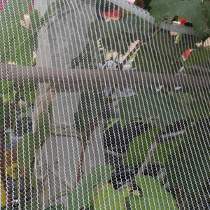 100% Raw Material HDPE Hail <strong>Net</strong> <strong>Insect</strong> <strong>Net</strong> - Product Image 3