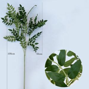 Arrangements H-718 <span class=keywords><strong>de</strong></span> feuilles vertes artificielles <span class=keywords><strong>de</strong></span> <span class=keywords><strong>feuille</strong></span> d'arbre d'acacia <span class=keywords><strong>de</strong></span> branche unique pour des décorations d'événement <span class=keywords><strong>de</strong></span> mariage - Product Image 5