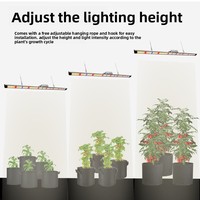 Lampu LED Linear 50W untuk Tanaman, IP54, Aluminium Alloy, Spektrum Dapat Disesuaikan, Peredupan Tombol, Mencegah Etiolasi, Mempromosikan Pembungaan