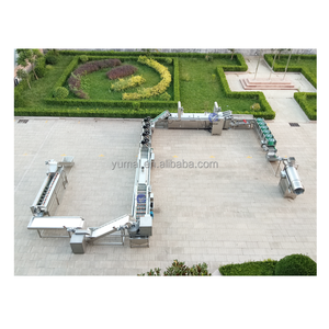 Hoàn thành điện hoàn toàn tự động đông lạnh khoai tây chiên dây chuyền sản xuất với dịch vụ cài đặt - Product Image 3