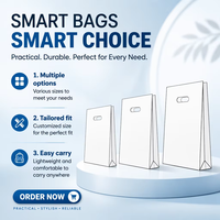 Tas Belanja Plastik HDPE Ramah Lingkungan Daur Ulang dengan Logo Custom, Sisi Lipat, Pegangan Panjang, Die Cut, Kemasan Retail
