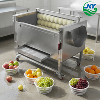 Rolborstelwasser voor fruit, groenten, kokosnoot, maïs, automatische suikerriet schil- en reinigingsmachine