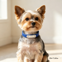 Collier-Écharpe Moderne de Luxe Simple Couleur Bonbon pour Chiots, Design Élégant Uni, Fermeture à Boucle en Cuir PU Haut de Gamme pour Petits Chiens et Chats