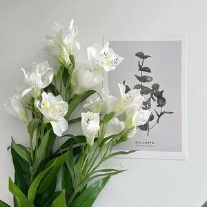 Tissu de soie <span class=keywords><strong>Alstroemeria</strong></span> blanc de haute qualité fleurs de lys artificielles pour la décoration de la maison de mariage du nouvel an avec des pièces de tige - Product Image 6