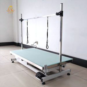 Mesa <span class=keywords><strong>de</strong></span> Peluquería Veterinaria Eléctrica con Luz LED EUR PET para Mascotas, Mesa <span class=keywords><strong>de</strong></span> Peluquería para Perros con Funciones <span class=keywords><strong>de</strong></span> Limpieza para Herramientas <span class=keywords><strong>de</strong></span> Peluquería <span class=keywords><strong>de</strong></span> Mascotas - Product Image 2