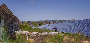 Panel solar bifacial ASTRONEGY ASTRO N8 TOPCon 710 de alta eficiencia de 4,0 W para sistemas fotovoltaicos multiescenario - Product Image 2