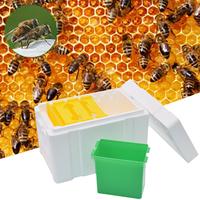 Nouvelle ruche de reproduction BAICHUN pour l'élevage des reines, mini-ruche de pollinisation en polystyrène