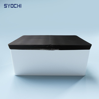 Syochi Baignoire de Glace Acrylique pour Plongeon Froid avec Logo Personnalisé, Baignoire de Massage Spa pour Athlètes et Refroidisseur