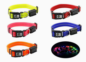 <span class=keywords><strong>Collar</strong></span> de Perro Ajustable con Luz <span class=keywords><strong>LED</strong></span>, Recargable por USB, con Hebilla de Cierre, Resistente al Agua, con Recubrimiento de PVC Luminoso <span class=keywords><strong>LED</strong></span>, Explosiones de Color, <span class=keywords><strong>2026</strong></span> - Product Image 1