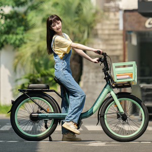 Vélo de ville pour adultes 36V 17.5Ah Pundarika - Product Image 5