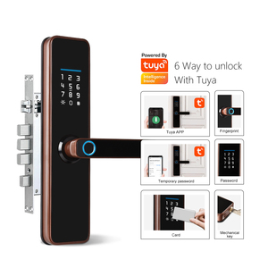 Serrure de porte intelligente numérique, personnalisée, plusieurs langues nationales, sécurité Tuya Wifi, empreinte digitale, 2022 - Product Image 2