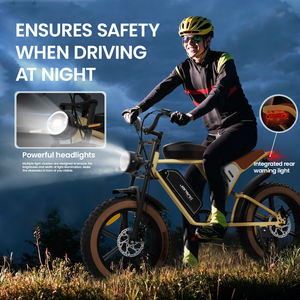 Jansno 20-Inch Fat Tire Electric Dirt Bike 250W 750 Electric Bicycle E-Bike 48V 34AH Dual Lithium Battery Bicicleta Electric - Product Image 6