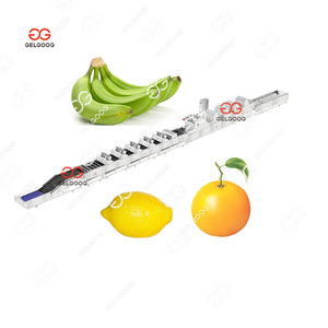 Machine à laver industrielle à bulles Gelgoog pour nettoyer les fraises, les mangues, les bananes et les plantains - Product Image 1