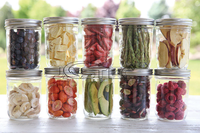 Petite machine de lyophilisation pour aliments, fruits et légumes