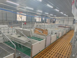 Hot mạ kẽm lợn trang trại thiết bị <span class=keywords><strong>farrowing</strong></span> <span class=keywords><strong>Crate</strong></span> thai sản gian hàng Lợn nái lồng - Product Image 6