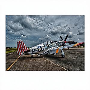 Lienzo Decorativo con Diseño de Avión de Combate Mustang, Arte Moderno de Aviación, Lienzo Enrollado para Colgar en la Pared - Product Image 1