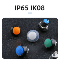 Interrupteurs à bouton-poussoir étanches Reach 12 mm IP65 1NO momentanés en alliage zinc-aluminium avec poignée de commande à distance