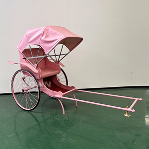 All'ingrosso il vecchio stile risciò carrozza cavallo nuovo arrivo 2 ruote risciò a basso prezzo a buon mercato 2 posti a Pedicab risciò - Product Image 2