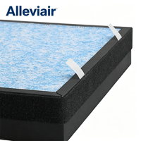 Filtre Alleviair HF02 à 4 étages HEPA H13 et charbon actif zéolite pour HATHASPACE HSP002, usage domestique et professionnel