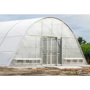 Agricultural Tunnel Green house polyethylene garden backyard Greenhouse Planting solar Fish tea Pepper dryer greenhouse