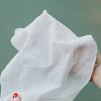 Lingettes hygiéniques pour les mains hautement efficaces, mini porte-clés, lingettes nettoyantes en conserve pour les voyages