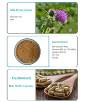 Extrait de Chardon-Marie en Poudre 80% Silimarines 30% Silibines Isosilibines Certifié BPF Stock en Gros pour Suppléments de Soutien Hépatique