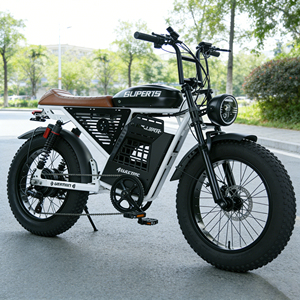 Bicicleta Eléctrica Todoterreno de 500w 48V, Venta Caliente de Fábrica China, Bicicleta Eléctrica de Montaña de 2 Plazas con Neumáticos Anchos - Product Image 2