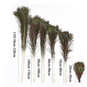Vente en gros 25-140cm plumes <span class=keywords><strong>de</strong></span> <span class=keywords><strong>paon</strong></span> naturelles plumes <span class=keywords><strong>de</strong></span> queues <span class=keywords><strong>de</strong></span> <span class=keywords><strong>paon</strong></span> pour montage <span class=keywords><strong>de</strong></span> mouches, carnaval sac à dos Costume décorations pour la maison - Product Image 1