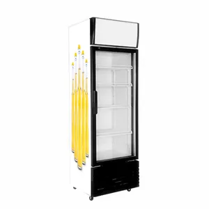 Tủ Lạnh Quầy Bar Đứng Với Tủ Lạnh Trưng Bày Bia Dạng Đứng Bằng Ga R600a Tủ Lạnh Đồ Uống Lạnh