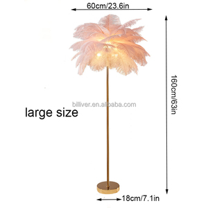 Lampadaire <span class=keywords><strong>plume</strong></span> chevet blanc <span class=keywords><strong>plume</strong></span> d'autruche coin debout lumière pour salon lampe <span class=keywords><strong>plume</strong></span> d'autruche - Product Image 4