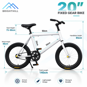 20인치 알루미늄 합금 포크 픽시 산악자전거 스틸 프레임 듀얼 디스크 브레이크 경량 BMX 싱글 스피드 도매 - Product Image 6