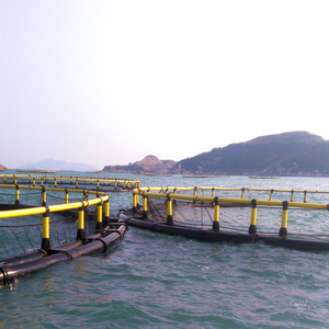 HDPE Circular Offshore <b>Fish</b> Cage High Buoyancy <b>Floating</b> Net Cage For Saltwater Aquaculture - Product Image 6