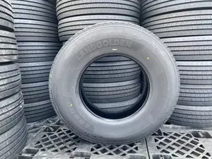 Doublecoin/Landgolden Commercial Tires 11r22.5 Semi Truck 295/75r22.5 Trailer Steer Tires From Thailand