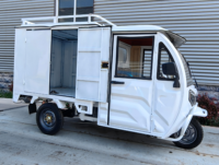 Triciclo Eléctrico de Reparto, Triciclo de Carga Cerrado para Entrega Urbana de Última Milla, Vehículo de Reparto Eléctrico, Triciclos Eléctricos