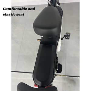 Vélo électrique à cadre léger de 14 pouces pour femmes avec batterie au plomb-acide 48V 12Ah et pneus de 14 pouces pour une maniabilité aisée - Product Image 2