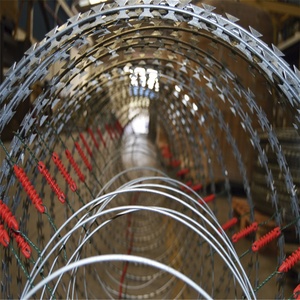 <span class=keywords><strong>Fil</strong></span> de <span class=keywords><strong>concertina</strong></span> de 980 mm, <span class=keywords><strong>fil</strong></span> barbelé électrifié avec lames, clôture - Product Image 3